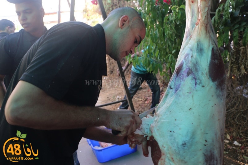 lod8om ada73y (73).JPG